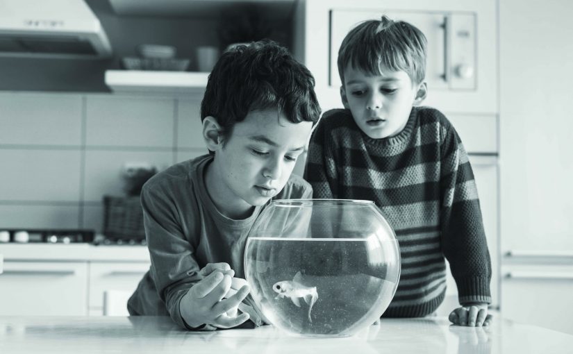 Children with Goldfish